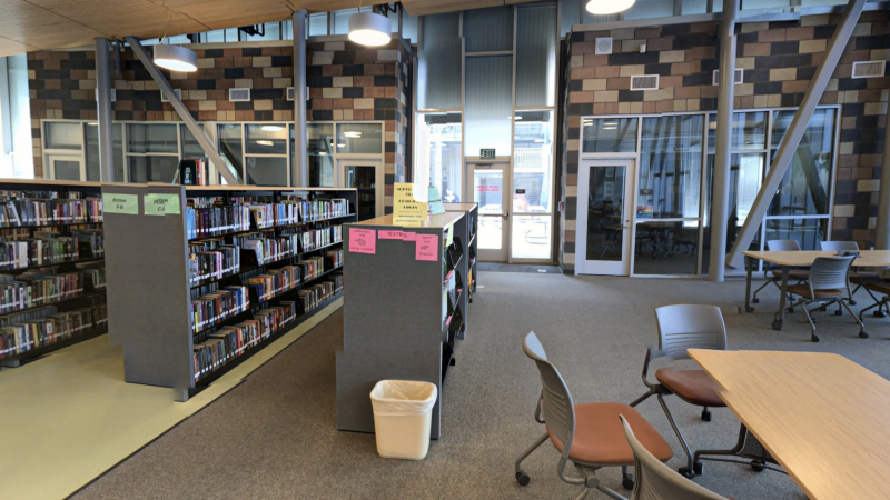 File:Libraryview.png